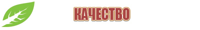 Дэнас Вертебра 02