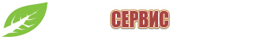 Дэнас Вертебра 02